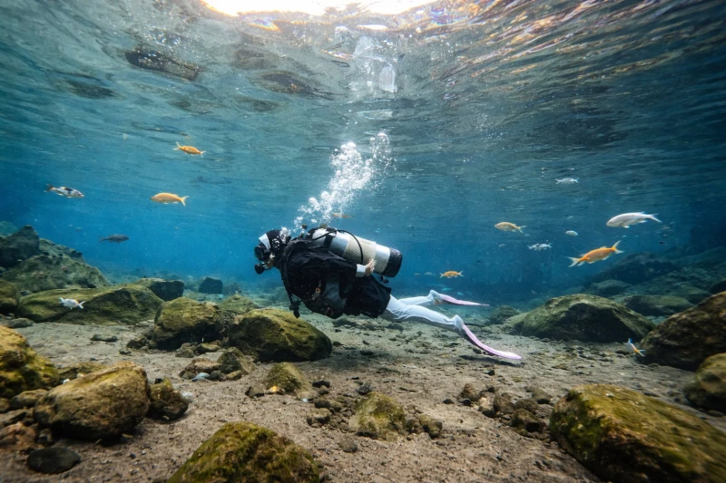 private-trip-umbul-ponggok-prambanan-1-hari-all-include-sunset-hits